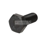 ZESKANTBOUT M10X25-8.8-MAN183-